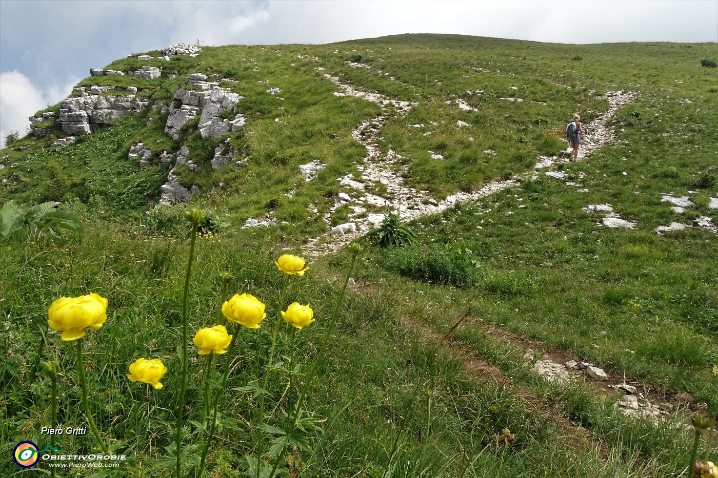 12 Botton d'oro.JPG